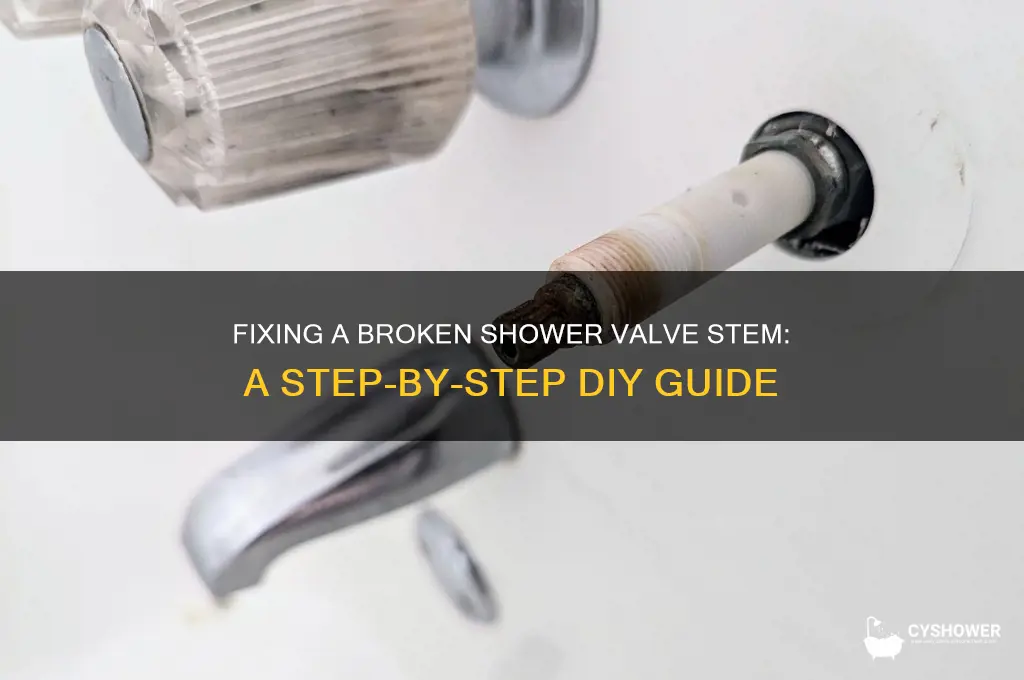 how to fix broken shower valve stem