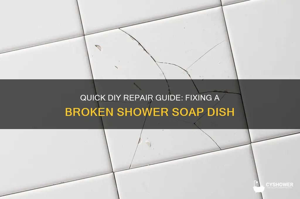 how to fix broken soap dish in shower