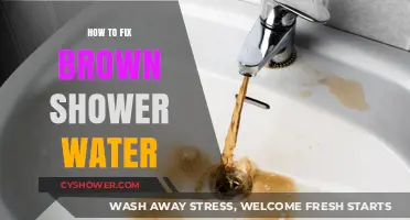 Fix Brown Shower Water: Quick Solutions for Clear, Safe Bathing