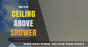 Quick Fixes for Repairing Ceiling Damage Above Your Shower