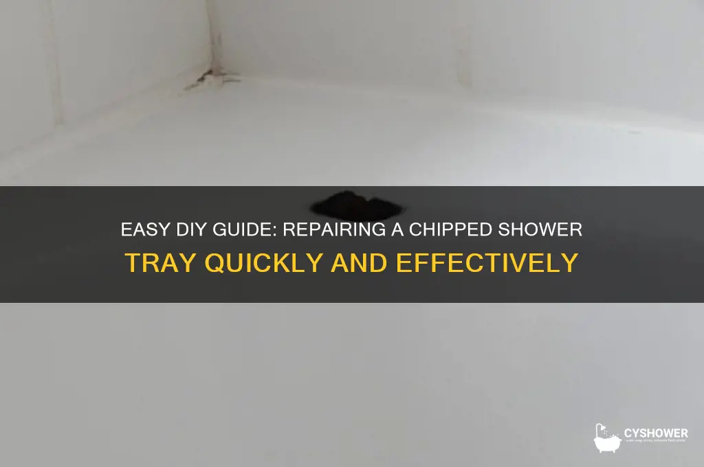 how to fix chip in shower tray