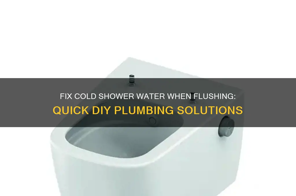 how to fix cold water in shower while flushing toilet