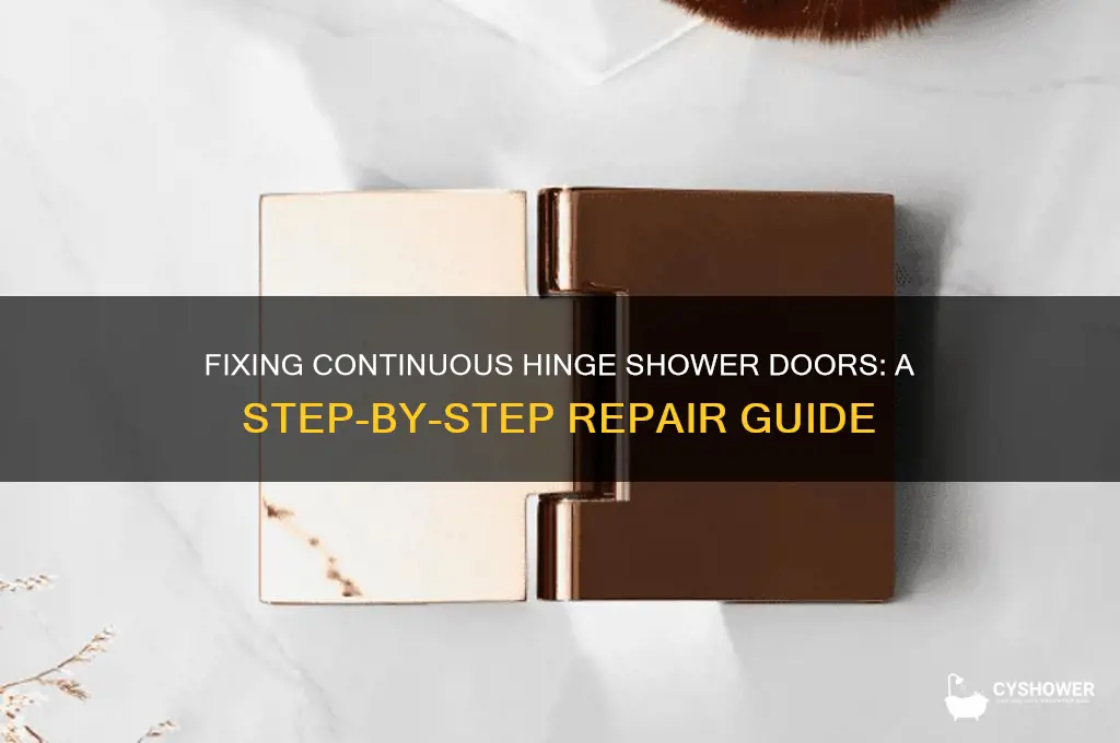 how to fix continuous hinge shower door