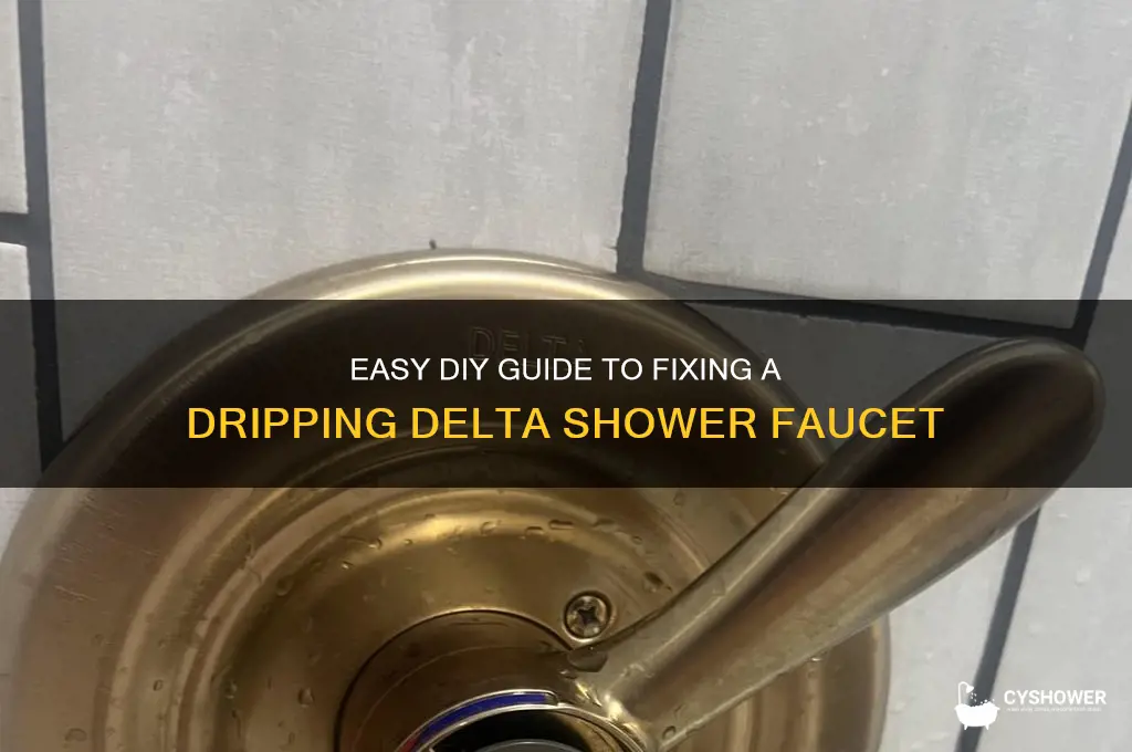 how to fix delta shower drip