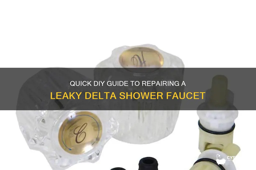 how to fix delta shower faucet leak