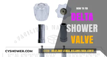 Easy DIY Guide to Repairing Your Delta Shower Valve