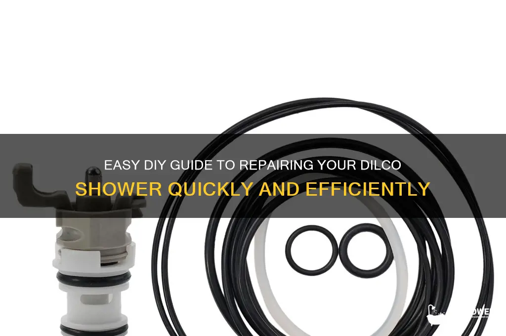 how to fix dilco shower