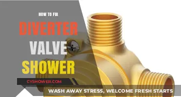 Easy DIY Guide to Repairing Your Shower Diverter Valve