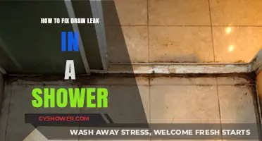 Quick Shower Drain Leak Fixes: DIY Solutions for a Watertight Bathroom