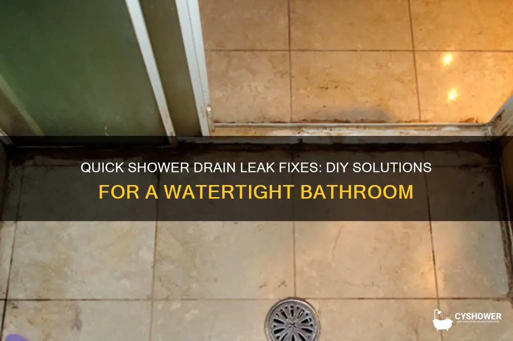 how to fix drain leak in a shower
