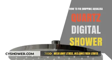 Quick Fixes for a Dripping Aqualisa Quartz Digital Shower