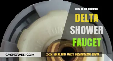 Quick Fix Guide: Stop Your Delta Shower Faucet Dripping