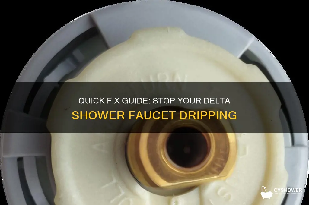 how to fix dripping delta shower faucet