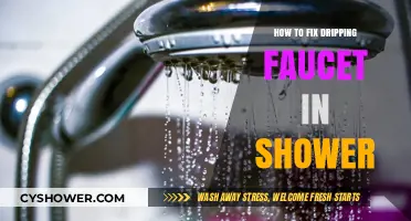 Quick DIY Guide to Fixing a Dripping Shower Faucet