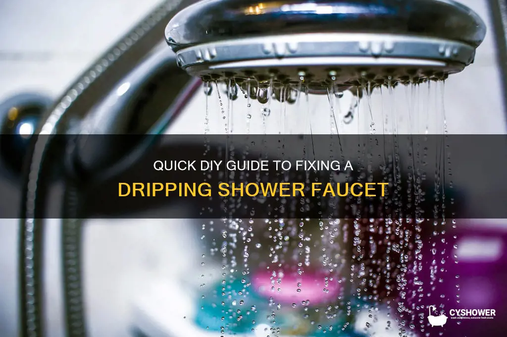 how to fix dripping faucet in shower