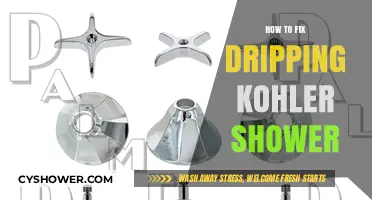 Quick Fixes for a Dripping Kohler Shower: DIY Repair Guide