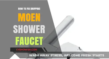Quick Fix for a Dripping Moen Shower Faucet: DIY Guide