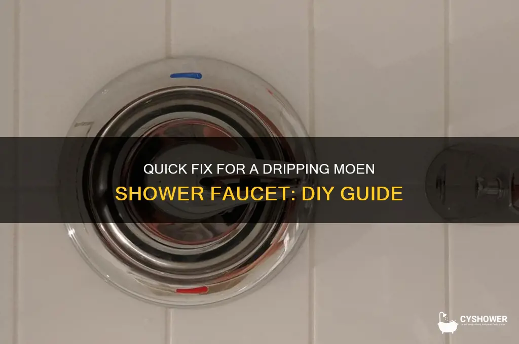 how to fix dripping moen shower faucet