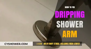 Quick DIY Guide: Fixing a Dripping Shower Arm Easily
