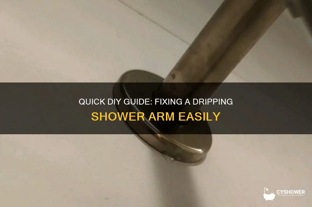 how to fix dripping shower arm