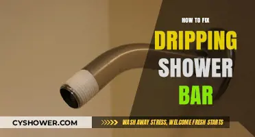 Quick Fixes for a Dripping Shower Bar: DIY Repair Guide