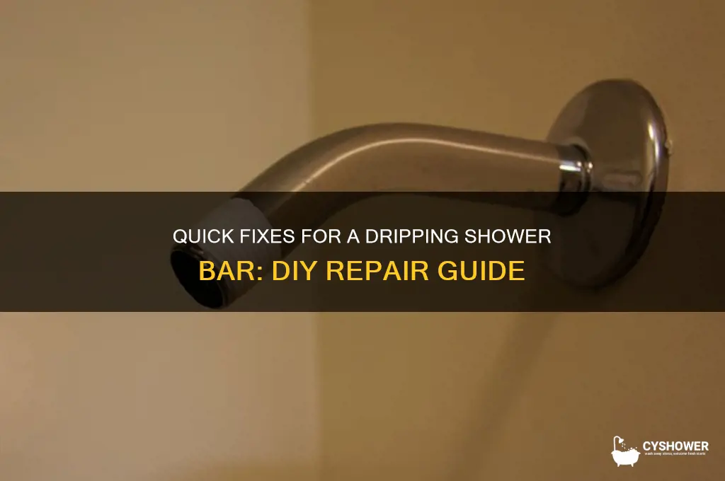 how to fix dripping shower bar