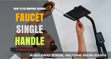 Quick Fix Guide: Stopping a Dripping Single-Handle Shower Faucet