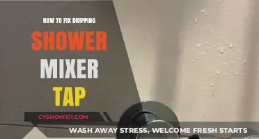 Quick Guide to Repairing a Leaky Shower Mixer Tap
