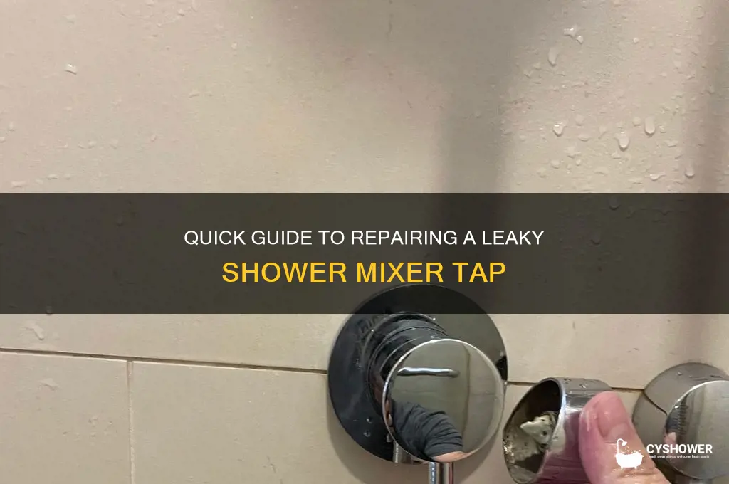 how to fix dripping shower mixer tap