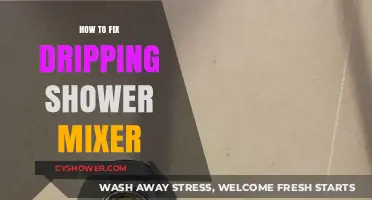 Quick Fixes for a Dripping Shower Mixer: DIY Repair Guide