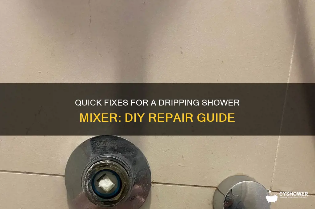 how to fix dripping shower mixer