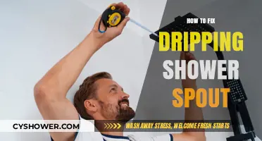 Quick DIY Guide: Stopping Your Shower Spout from Dripping