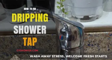 Quick and Easy Guide to Fixing a Dripping Shower Tap