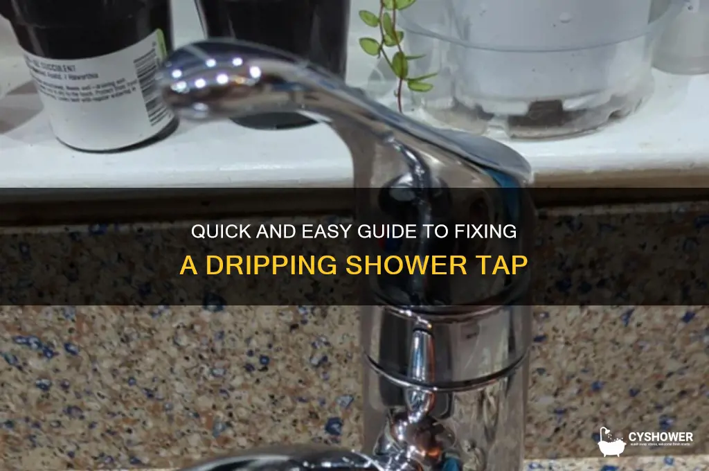 how to fix dripping shower tap