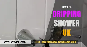 Stop the Drip: Easy Fixes for a Leaky UK Shower