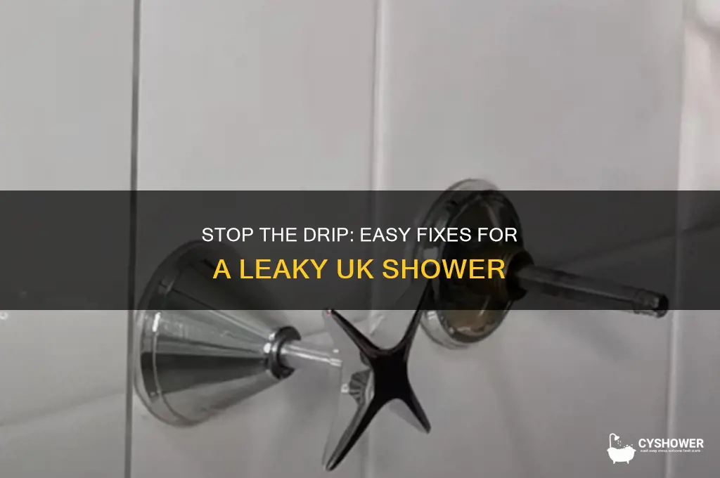how to fix dripping shower uk