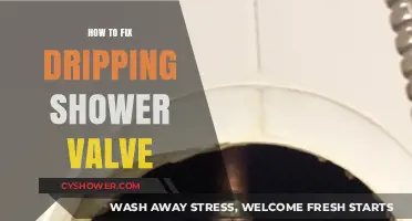 Quick Guide to Repairing a Dripping Shower Valve Easily