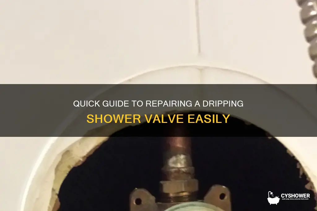 how to fix dripping shower valve