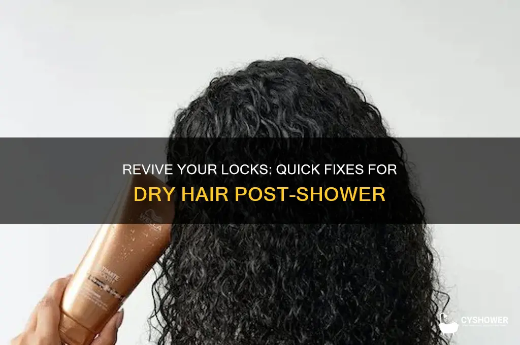 how to fix dry hair after shower