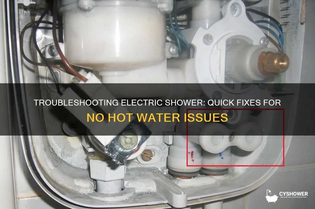how to fix electric shower no hot water