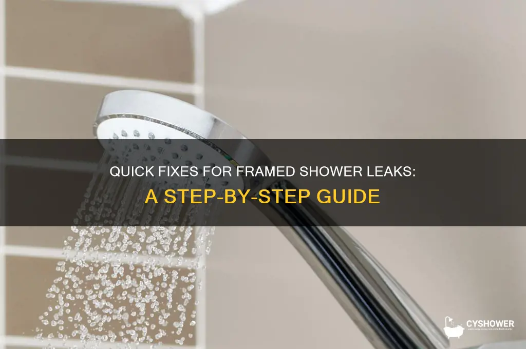 how to fix framed shower leak