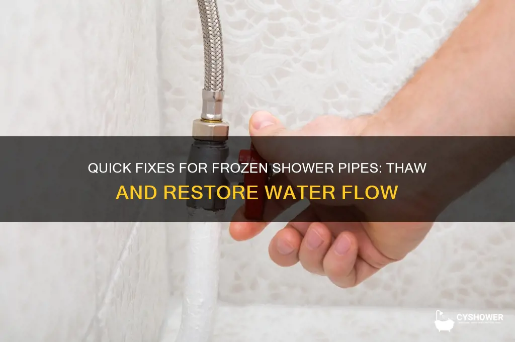 how to fix frozen pipes to shower