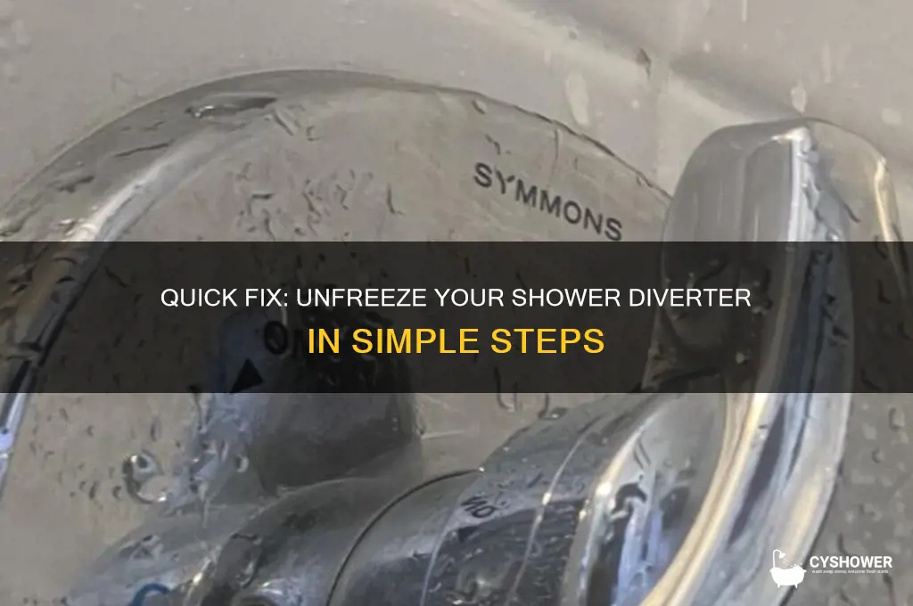 how to fix frozen shower diverter