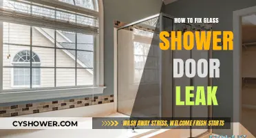 Effective Solutions to Fix a Leaking Glass Shower Door