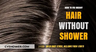 Quick Fixes for Greasy Hair: No Shower Needed!