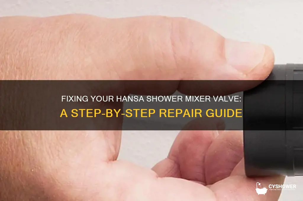 how to fix hansa mixer valve for shower