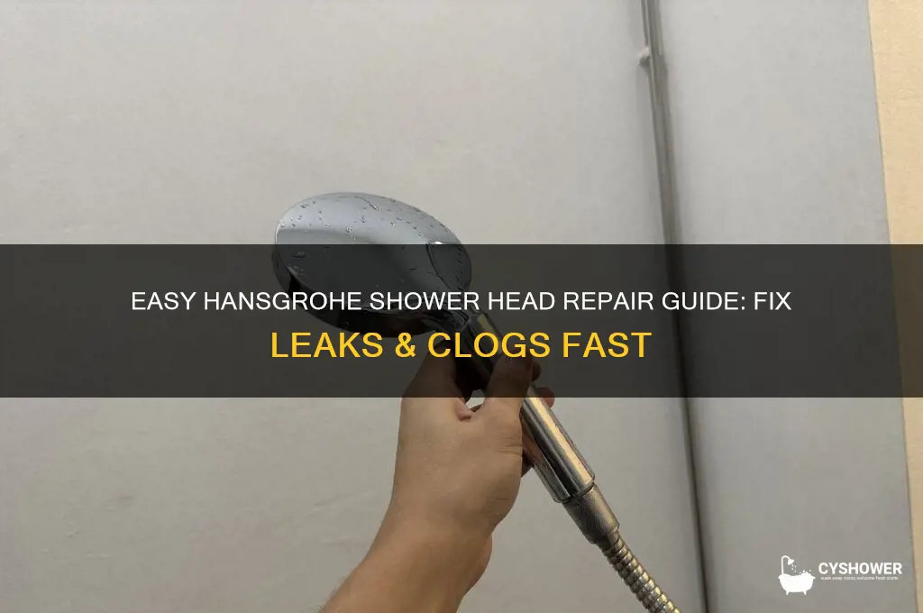 how to fix hansgrohe shower head repair