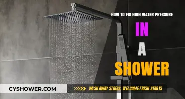 Easy Fixes for High Water Pressure in Your Shower