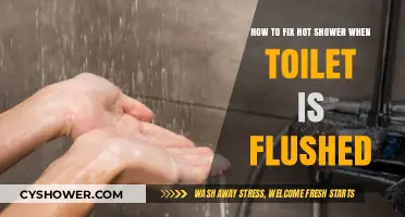 Fixing Hot Shower Temperature Drops When Toilet is Flushed: A Guide