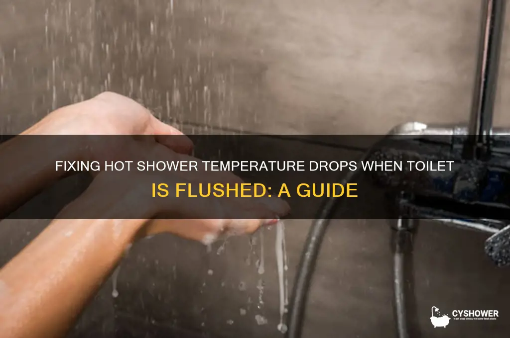 how to fix hot shower when toilet is flushed